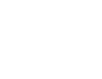 Trip Advisor Award Logo